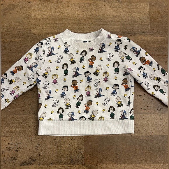 Janie and Jack Other - Janie and Jack Sweatshirt Size 2T
